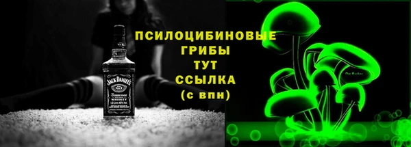 тгк Абдулино