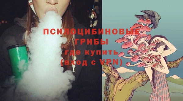 тгк Абдулино