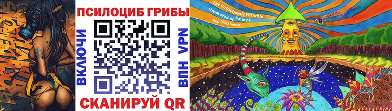 сколько стоит  Нефтегорск  Псилоцибиновые грибы GOLDEN TEACHER 