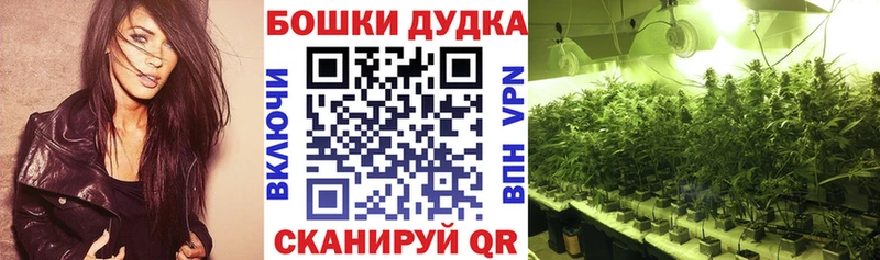 ОМГ ОМГ tor  Нефтегорск  Бошки Шишки ГИДРОПОН 